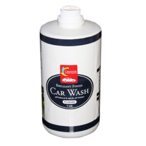 Car Wash Economy