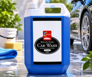 Car Wash Economy - 5L